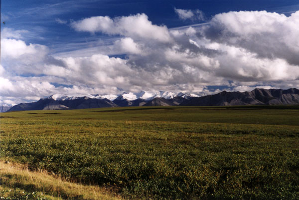 [View of the Brooks Range]