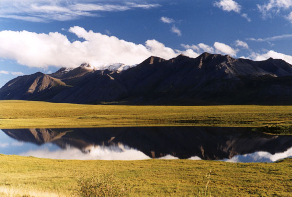 [View of the Brooks Range]