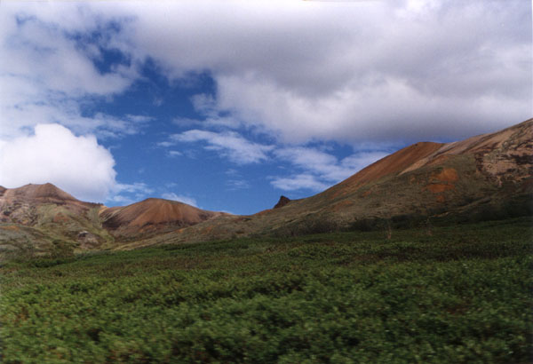 [View from along the Denali Park Road]