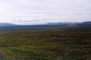 [The Dalton Hwy]