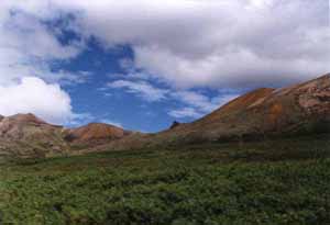 [View from along the Denali Park Road]